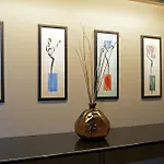 Chicago South Loop Hotel