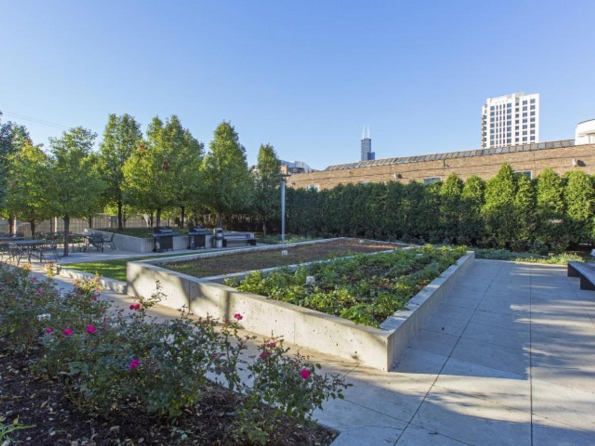 Apartment South Loop 2br W Gym Roof Nr Grant Park Chi-770 Chicago