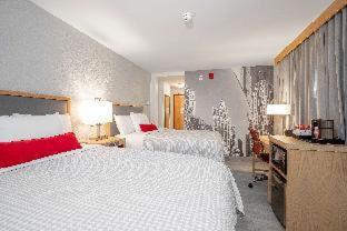 Hotel Saint Clair - Magnificent Mile