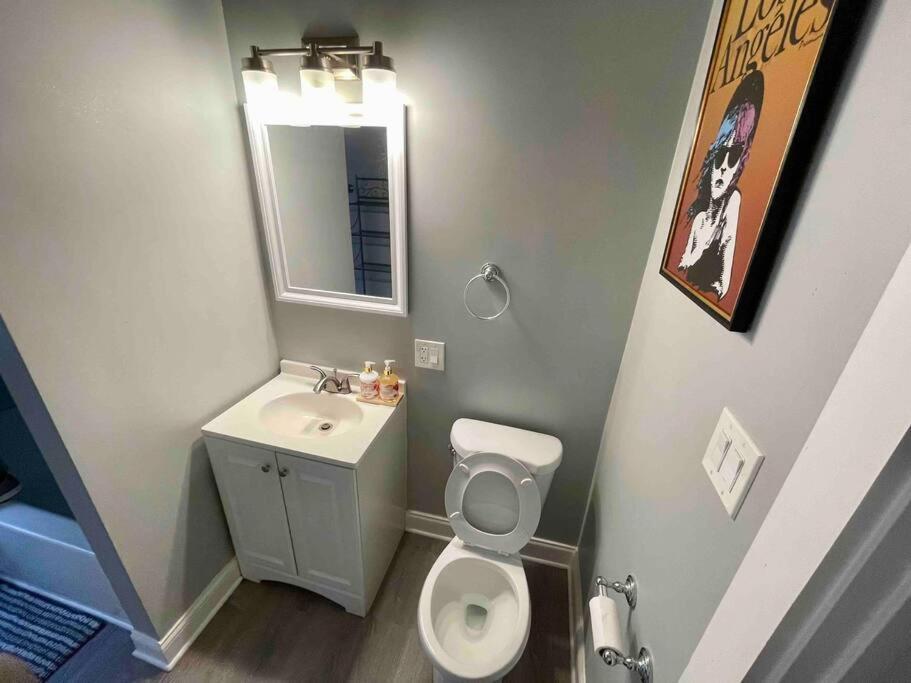 Cozy Luxury Apt~ Near Uchicago/hydepark/lakeshore Chicago