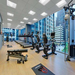 Hyatt Place Chicago/downtown - The Loop 3*