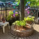 Wrigleyville Oasis