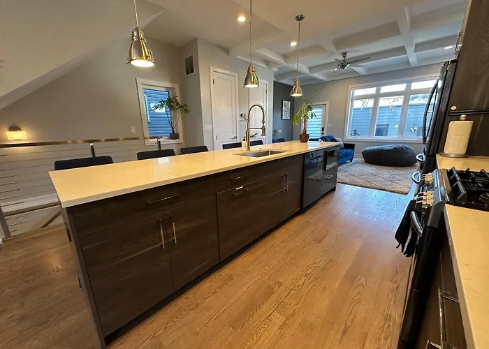 Modern Sfh Near Mccormick Place & Soldier Field