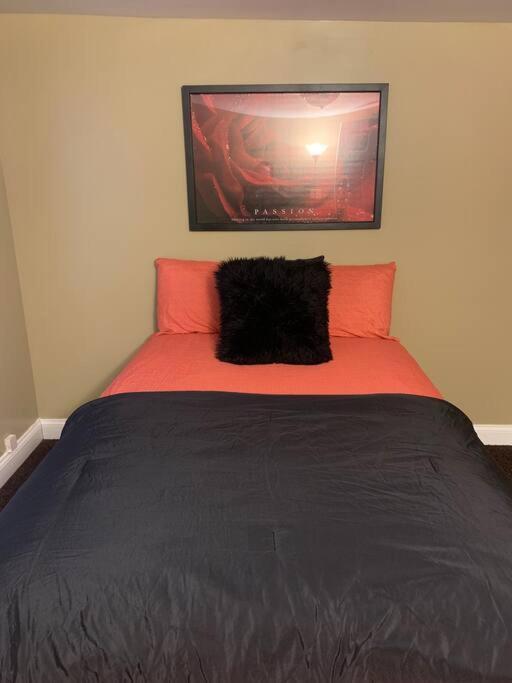 Apartment Luxury 3br, 1ba-5mins From Hyde Park