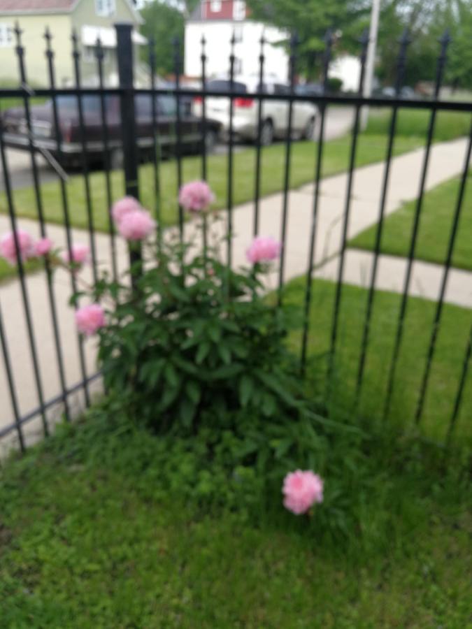 320 Happy * Chicago