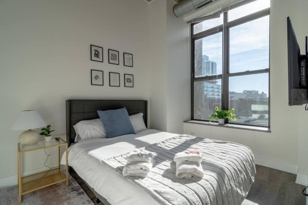 Mccormick Place Beautiful 2b-2b With Optional Parking - Sleeps Up To 8 Apartment Chicago