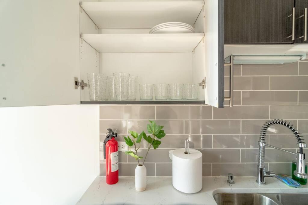 Apartment Mccormick Place Beautiful 2b-2b With Optional Parking - Sleeps Up To 8 Chicago