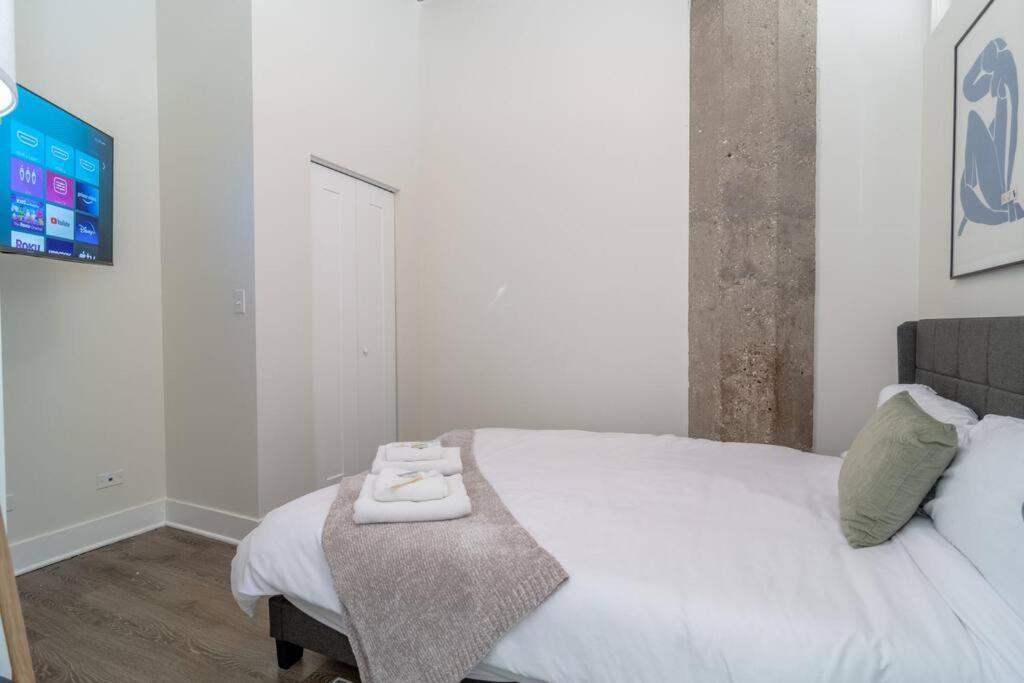 Apartment Mccormick Place Amazing 2b-2b With View And Optional Parking For Up To 8 Guests Chicago