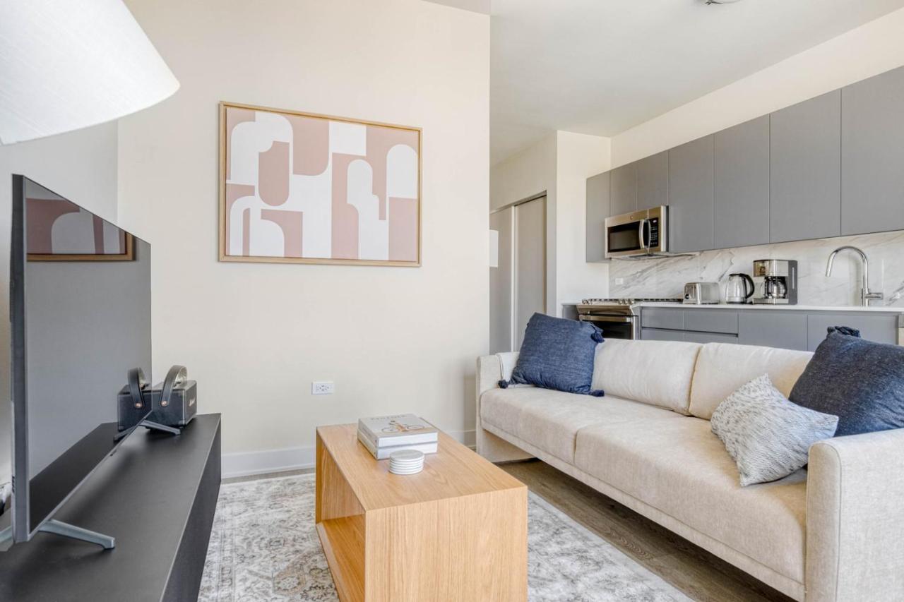 River W W Gym Bbq Nr Blue Line Chi-676 Apartment *