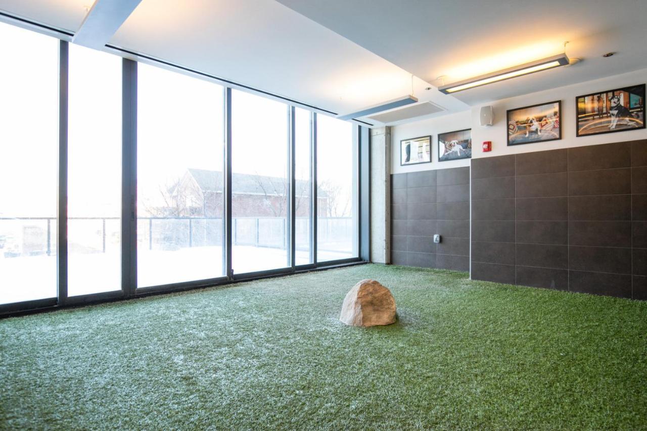 Near North 2br W Roof Gym Nr Red Line Chi-580 Apartment