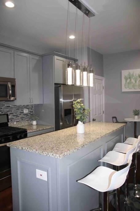 Apartment Upscale Westside Of Chicago