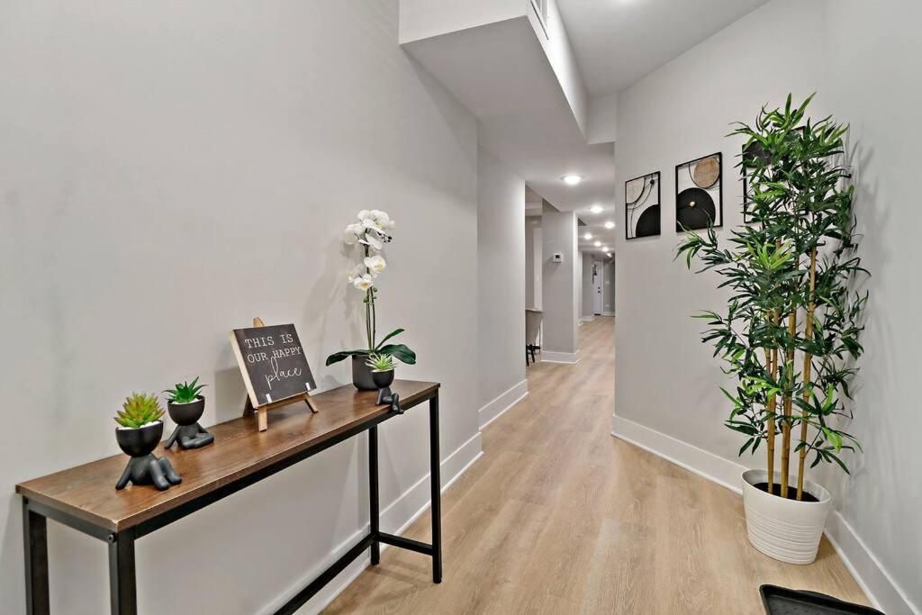 2br Luxurious Apt With In-unit Laundry - Ashland B Apartment