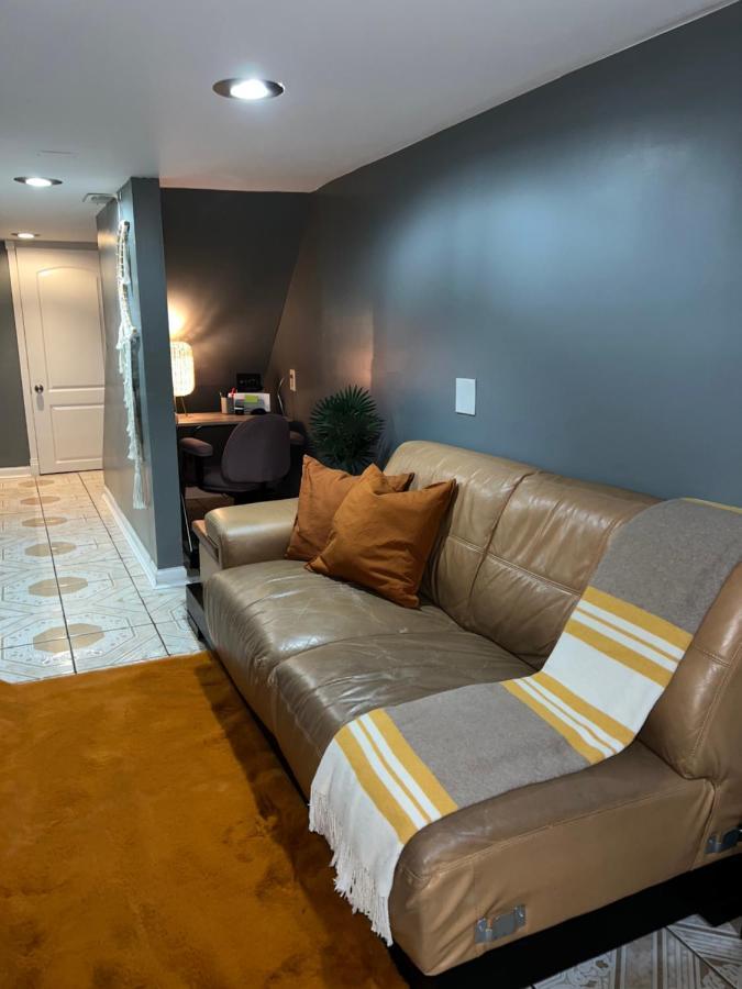 Chicago-pilsen Boho With Free Parking - Unit C Chicago