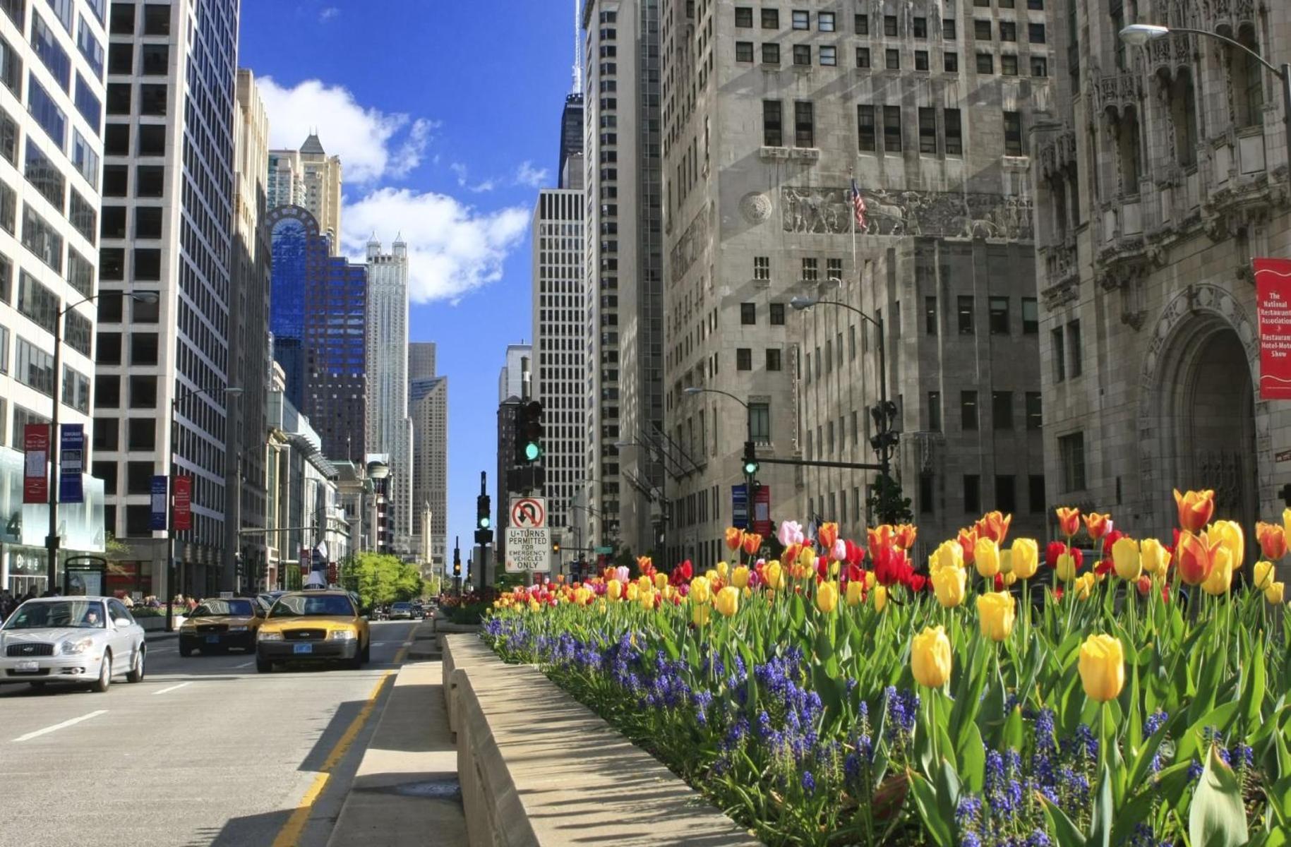 Gold Coast With Free Parking Garage Sleeps 10 Chicago