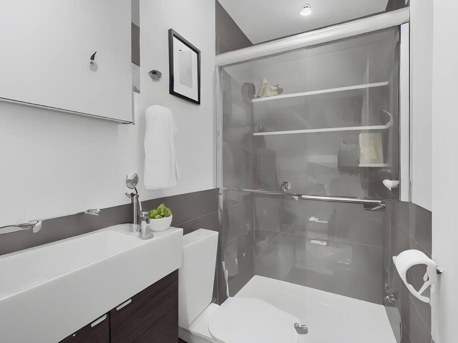Modern & Fully Furnished 1br - Oakdale 3s Apartment Chicago