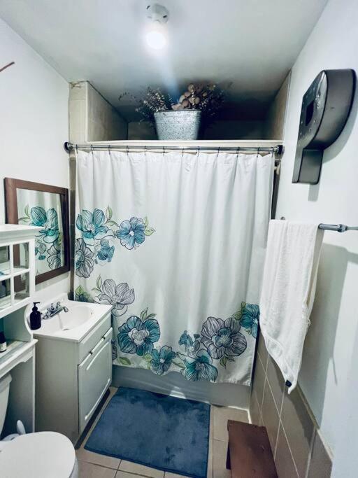 Homey And Private 1 Bed Located 15min To City Apartment Chicago