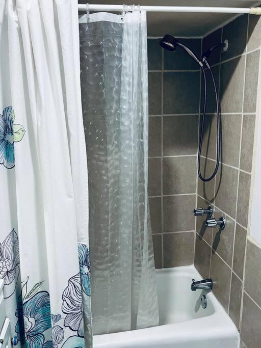 Homey And Private 1 Bed Located 15min To City Chicago