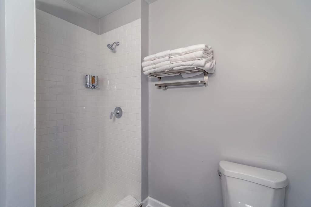3 Flat Building Downtown - With Private Patios Apartment *