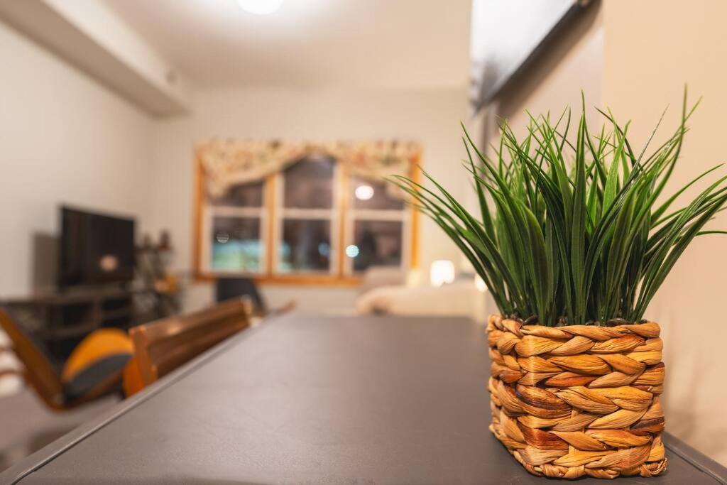 Cityscape Retreat 3br Haven With Free Parking Apartment