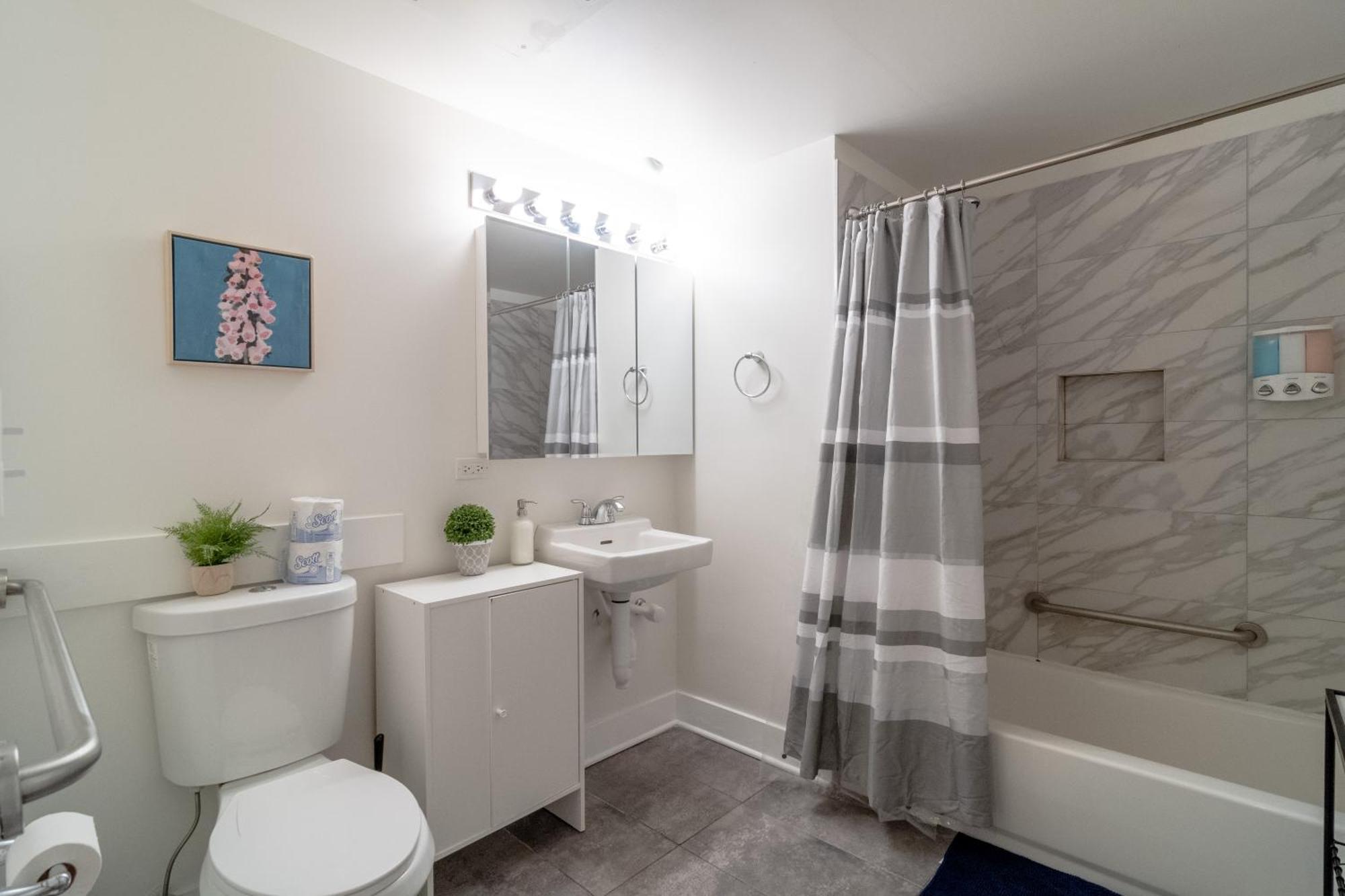 Mccormick Place Beautiful With Optional Parking And Gym Access That Sleeps Up To 4 Apartment *