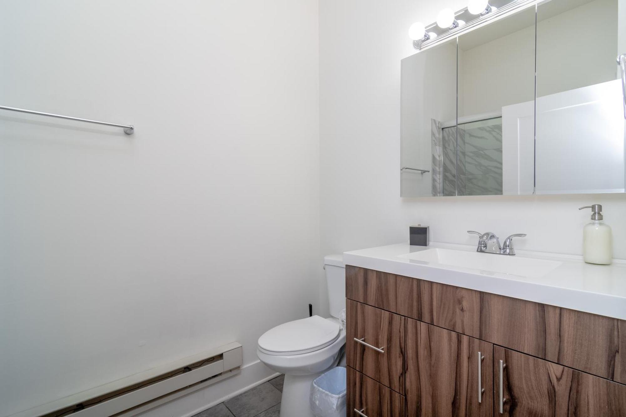 Apartment Mccormick Place Luxury Penthouse Duplex With Personal Rooftop With Optional Parking For 8 Guests