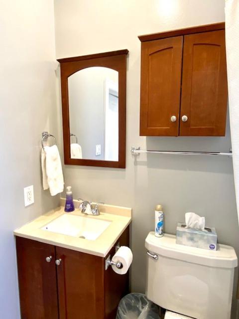 Spacious Historic In Lakeview - Walk To Wrigley, Nightlife, Shops, Hospitals Apartment *