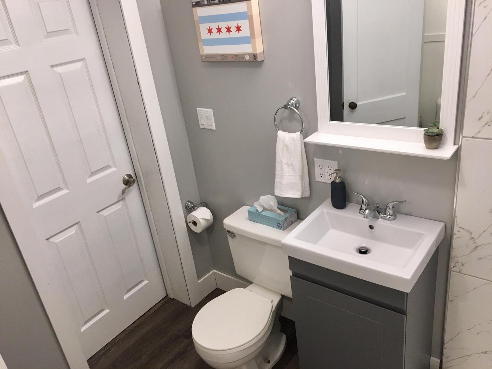 Apartment Spacious Historic In Lakeview - Walk To Wrigley, Nightlife, Shops, Hospitals *