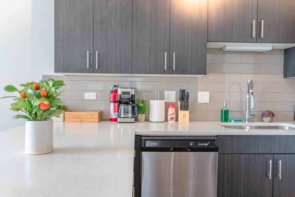 Apartment Mccormick Place 420 Friendly 3br/2ba With Optional Parking Chicago