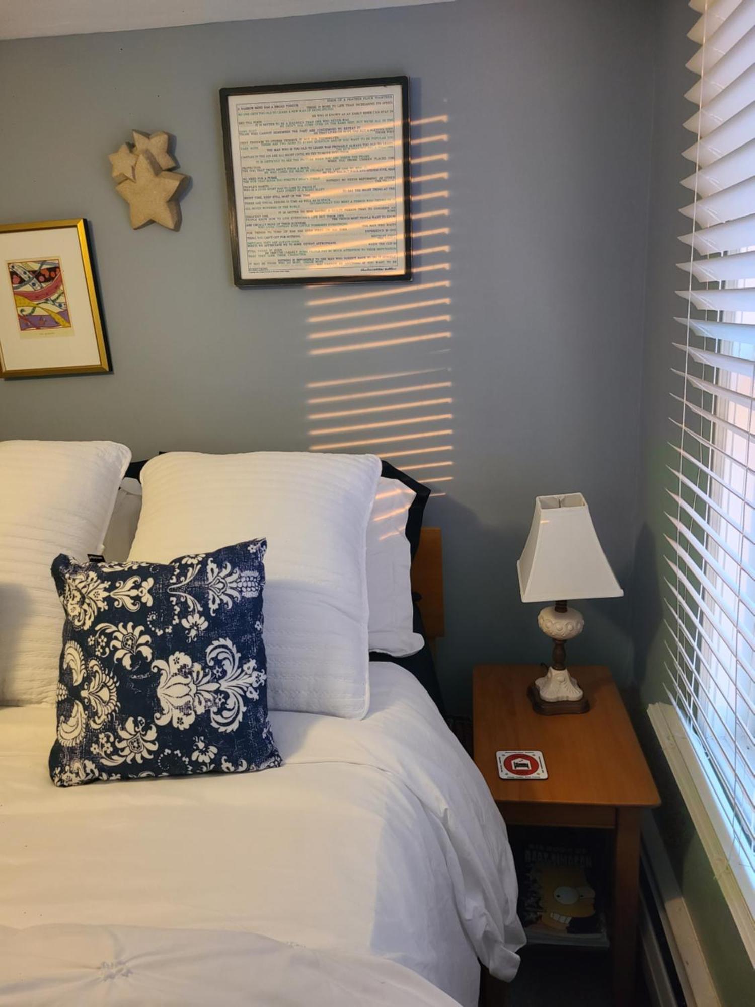 Apartment Well-appointed Cozy Portage Park Apt, Dogs, Kids, Free Parking, 420 Compliant