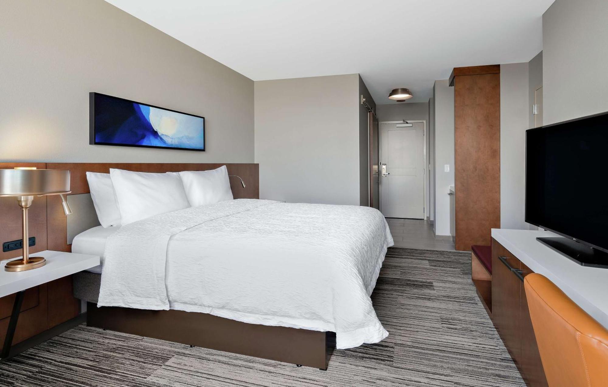 Hilton Garden Mccormick Place Hotel