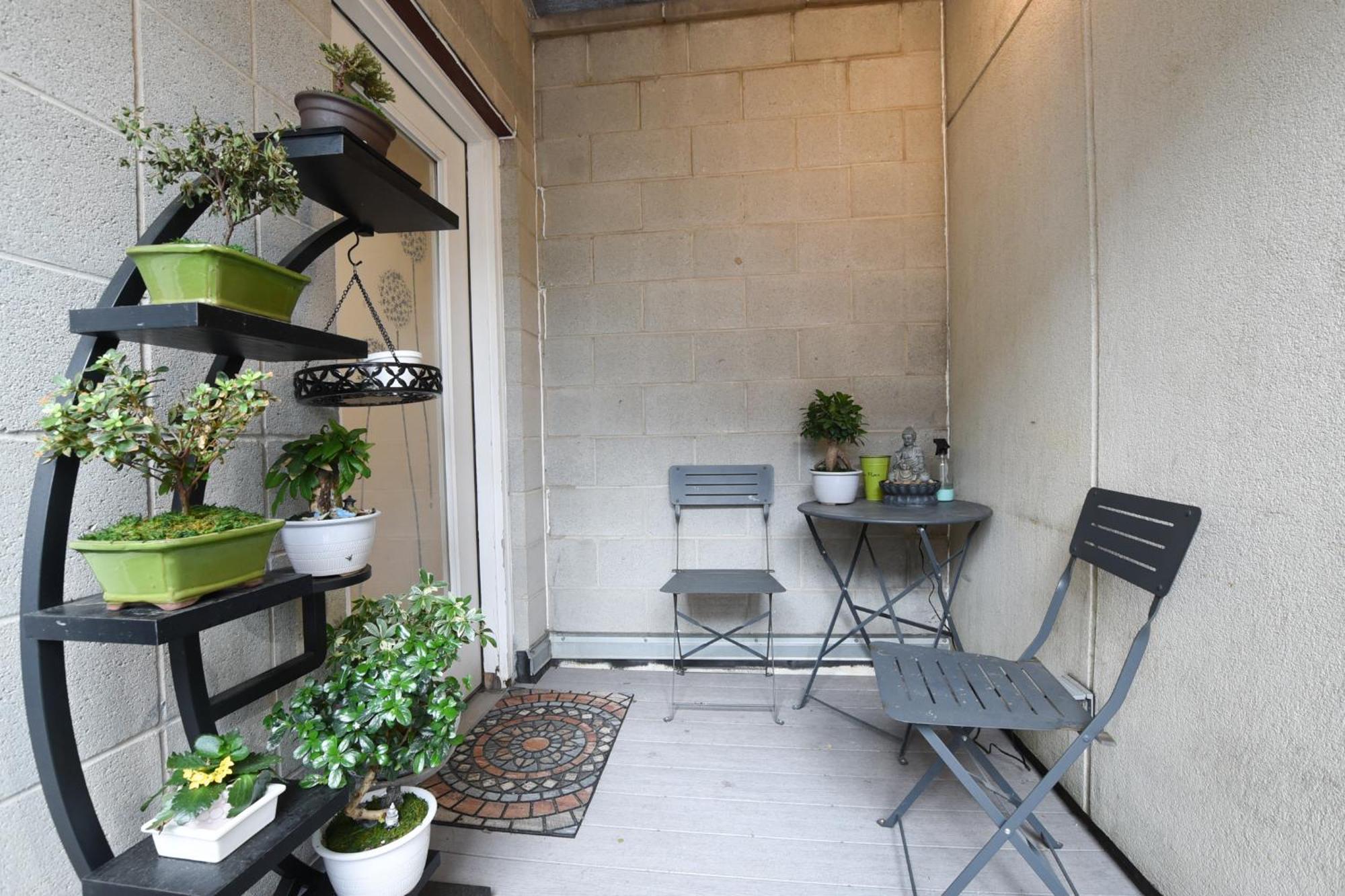 Apartment Cozy, Bright And A Great Location!