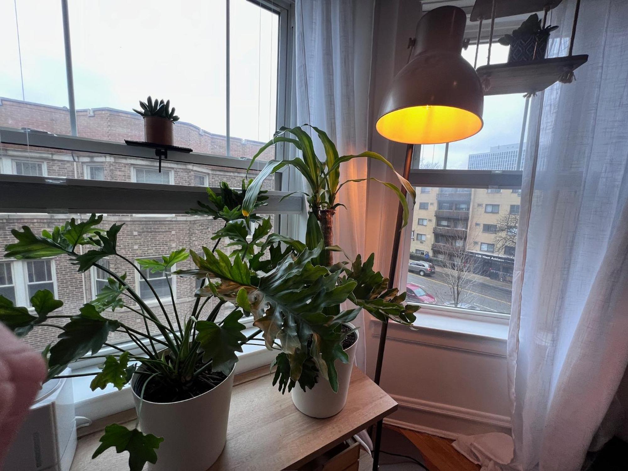 Lakeside Loft - Historic Chicago