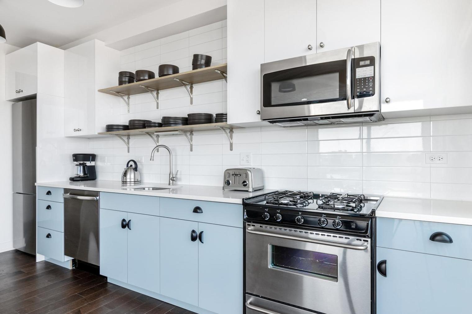 Ravenswood 2br W Rooftop Bbq Next To Brown Line Chi-400 Apartment