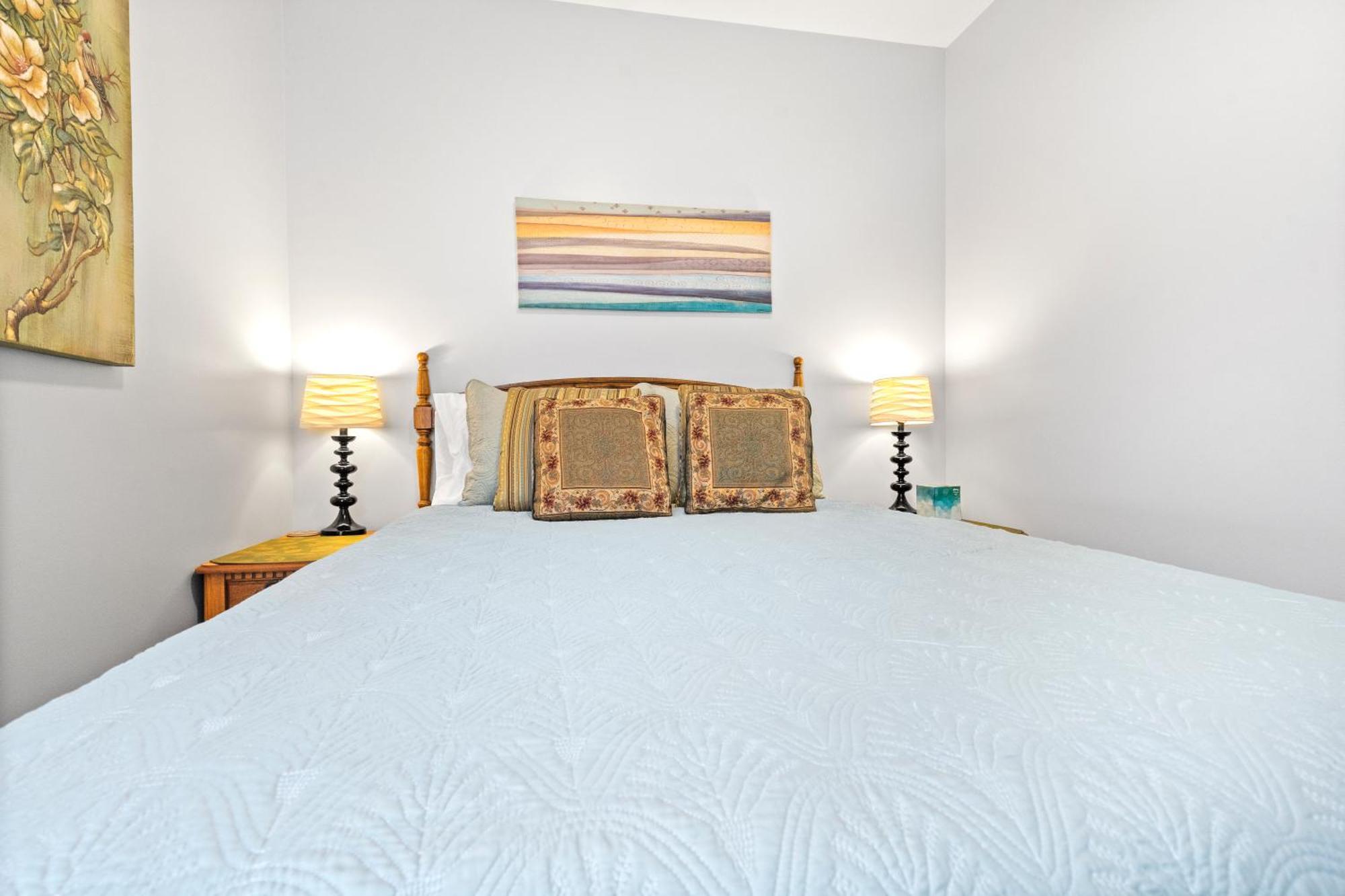 Newly Rehabbed Greystone With 2 Private Apartments, Backyard, Garage, Laundry, Close To Expressway Apartment