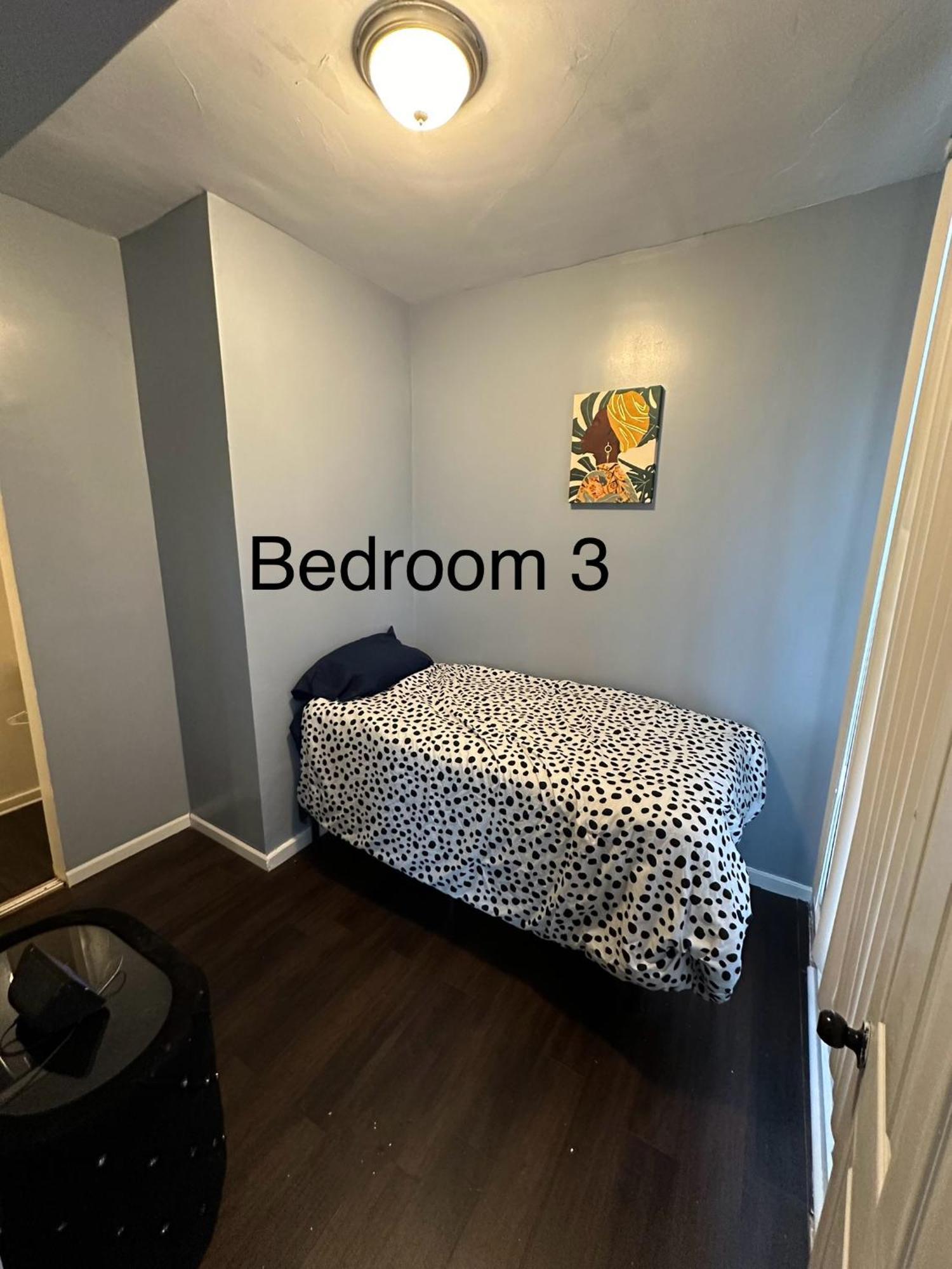 Cozy Spacious 3br Theater Apartment Chicago