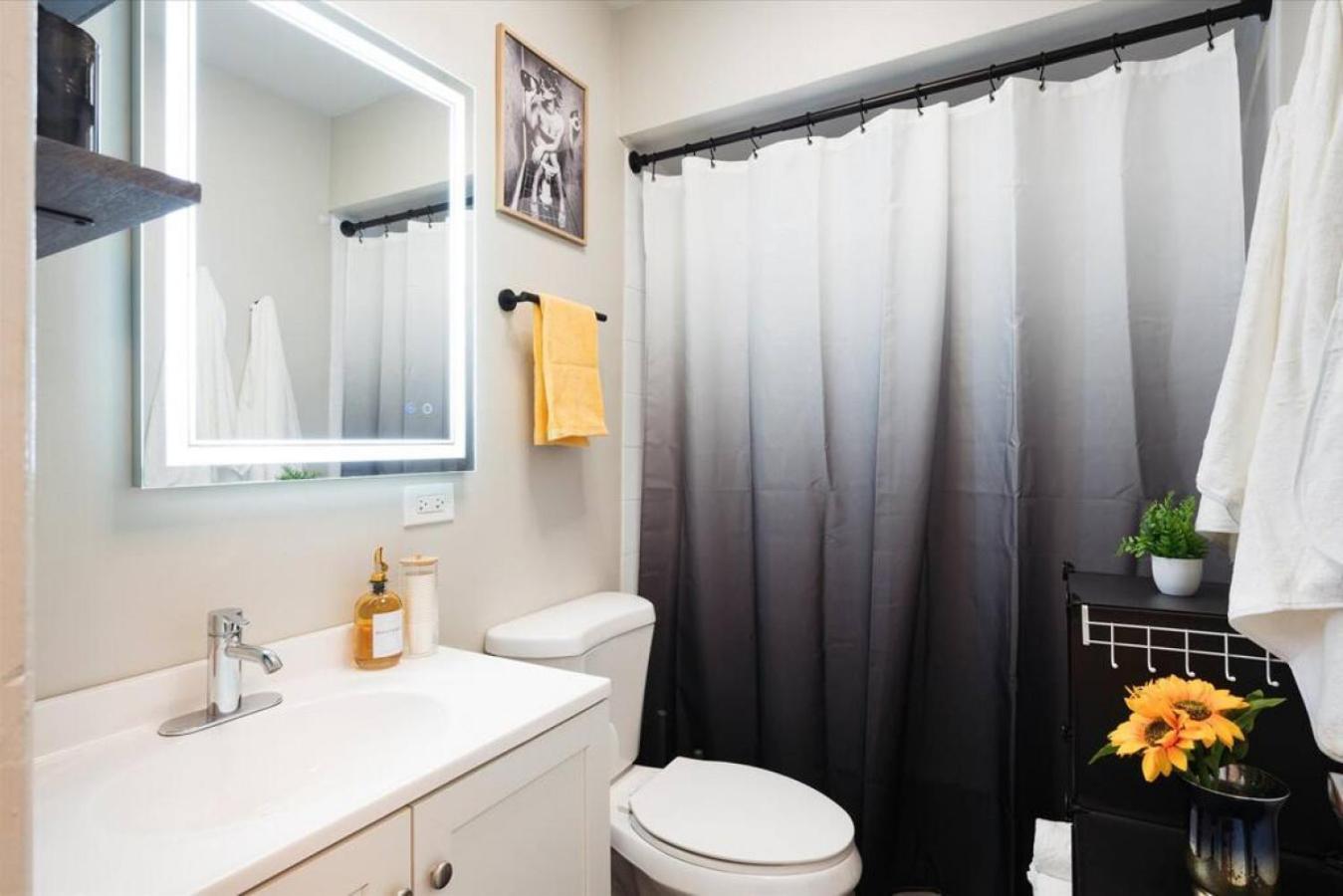 Cute 2 Bedrooms - 12 Min From Downtown Chicagi Apartment