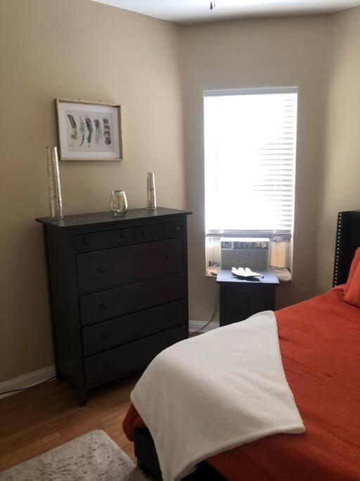 Tones Comfort Near U Of Chgo And 20min Dtwn Chgo Apartment Chicago