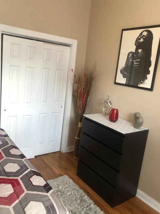 Tones Comfort Near U Of Chgo And 20min Dtwn Chgo Apartment