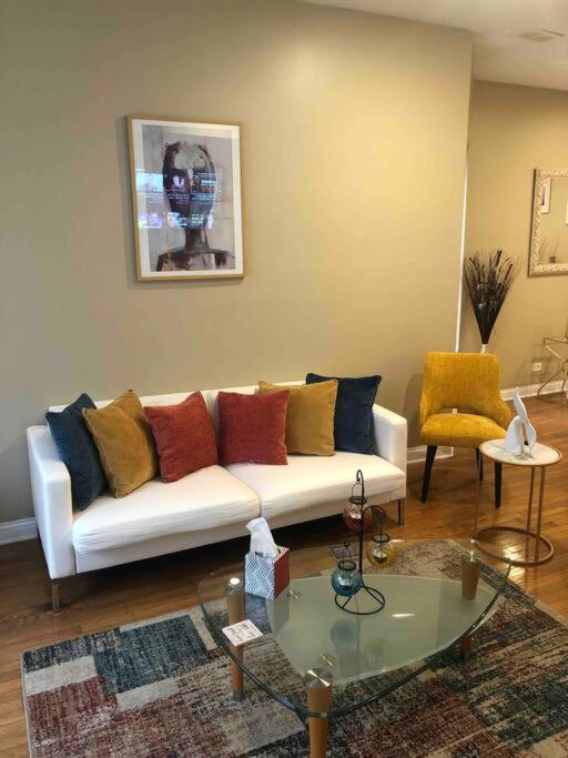 Tones Comfort Near U Of Chgo And 20min Dtwn Chgo Chicago