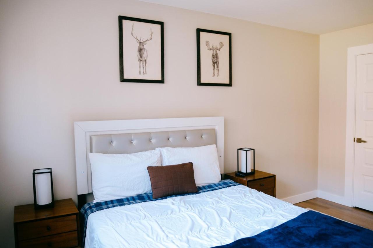 Luxurious New Remodeled Apartment