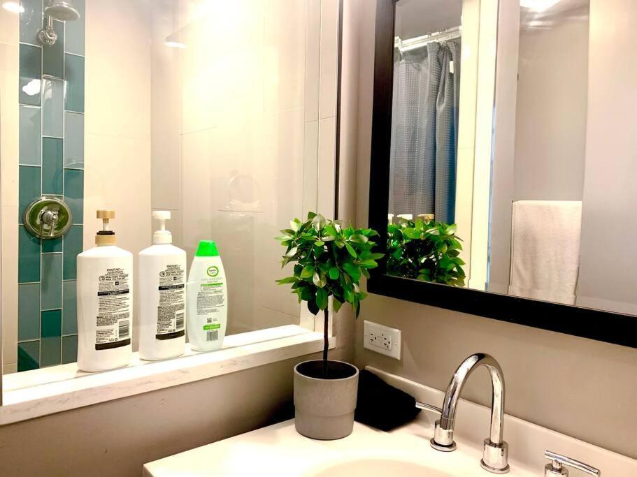 Bridgeport Place - Free Parking, Mccormick Place-sox Park Apartment *