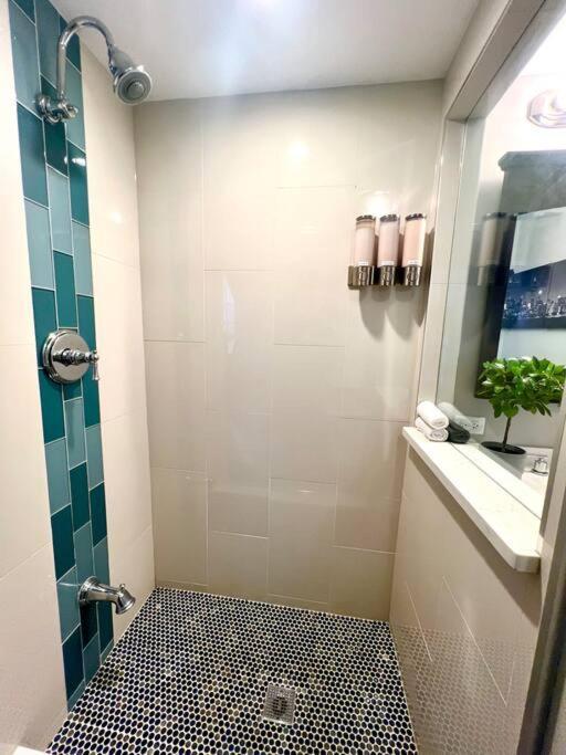 Bridgeport Place - Free Parking, Mccormick Place-sox Park Apartment *