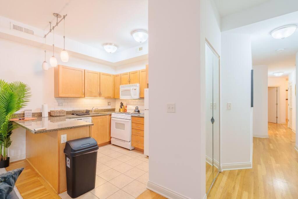 Apartment Cozy 3br Hyde Park Oasis Near Uchi, Shops & Dining Chicago