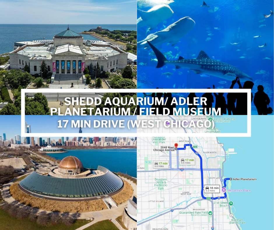 Large 4-bedroom Upscale W Rooftop Apartment Chicago