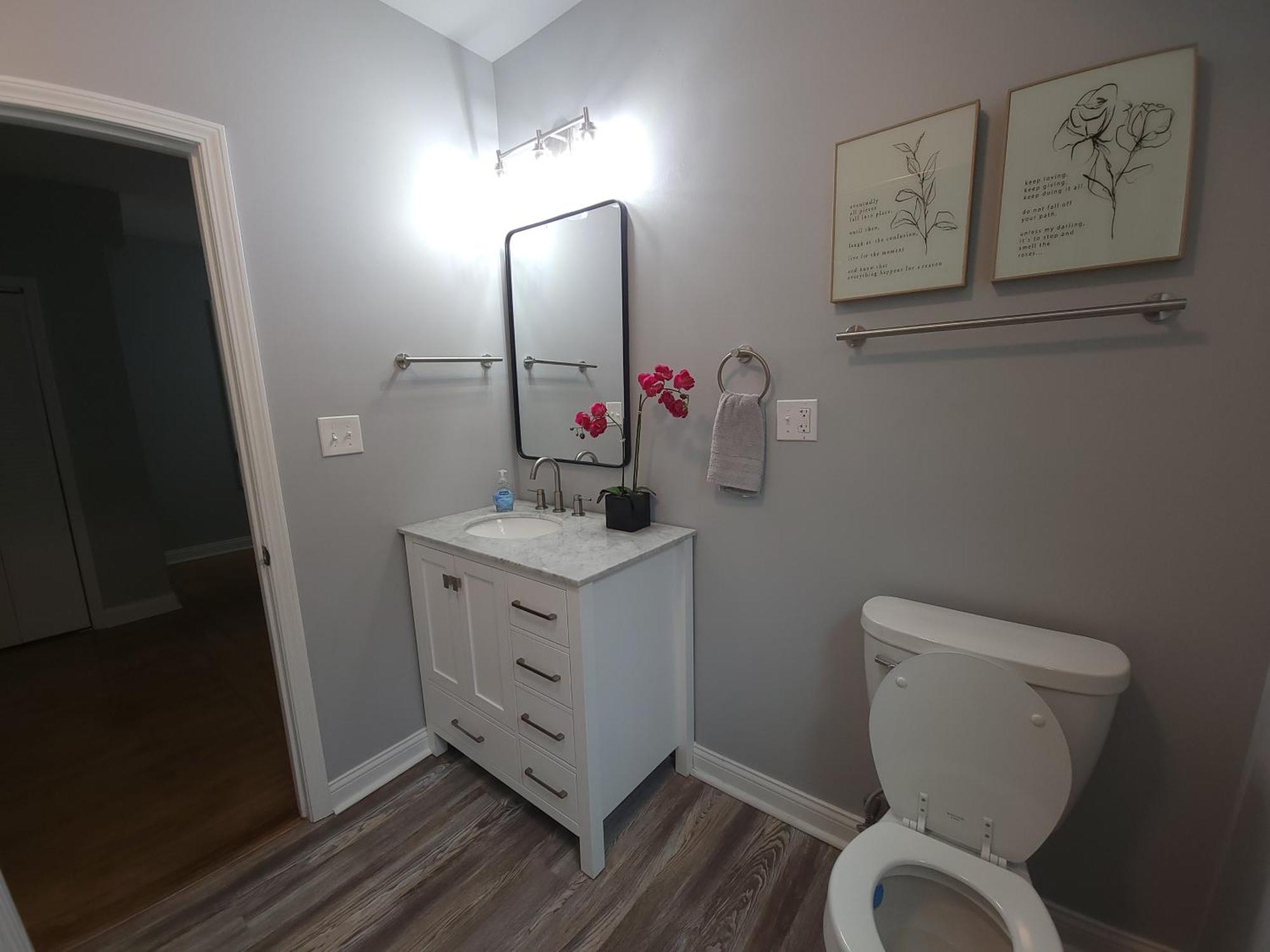Beautiful Big 3 Bedroom Quiet Apt Near Downtown Apartment Chicago