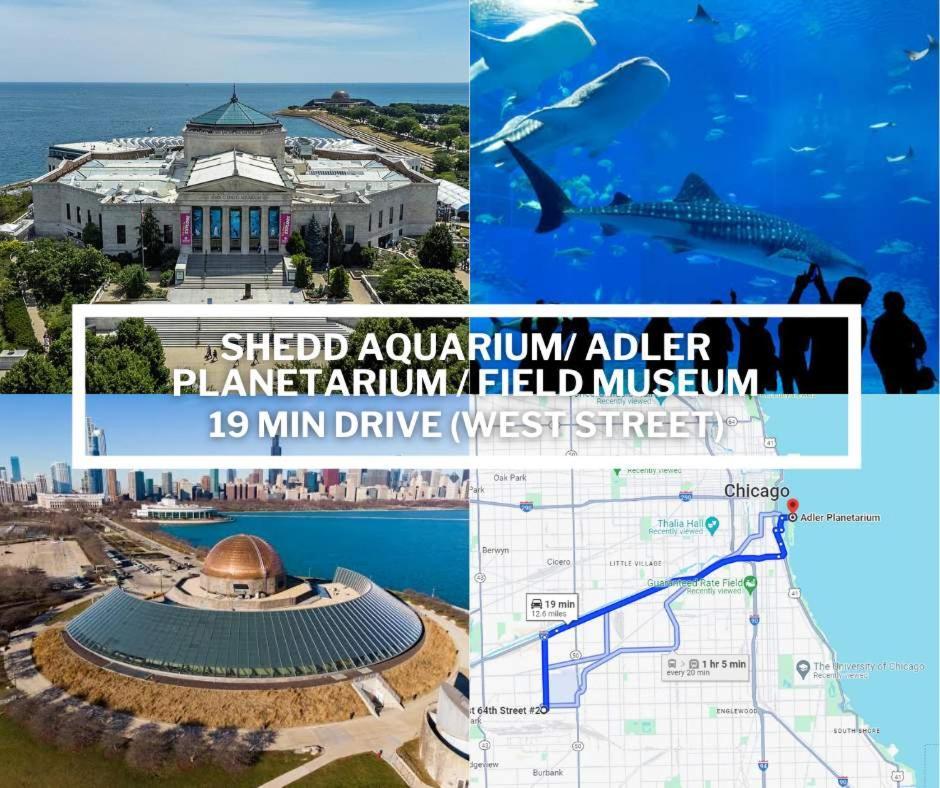 Spacious In Chicago
