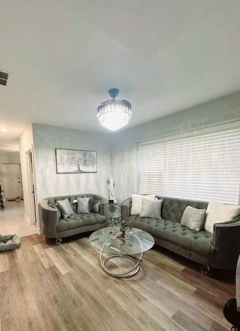 Cozy & Near Downtown & Hyde Park Apartment Chicago
