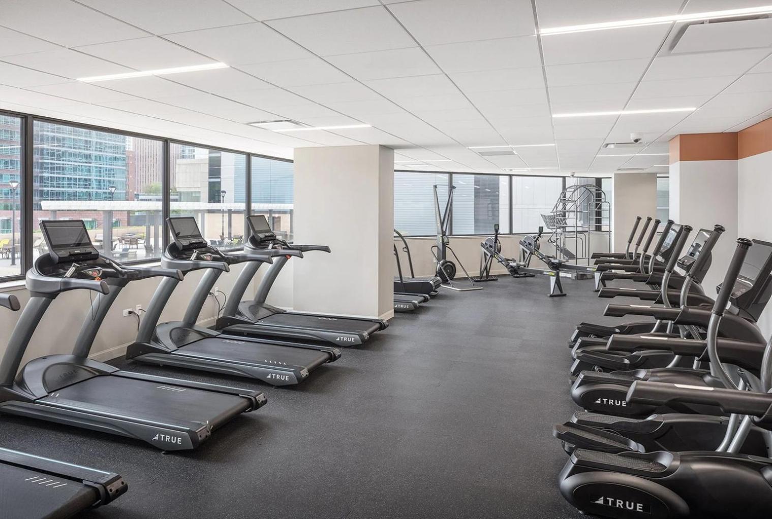 Streeterville W Pool Gym Nr Navy Pier Chi-786 Apartment Chicago