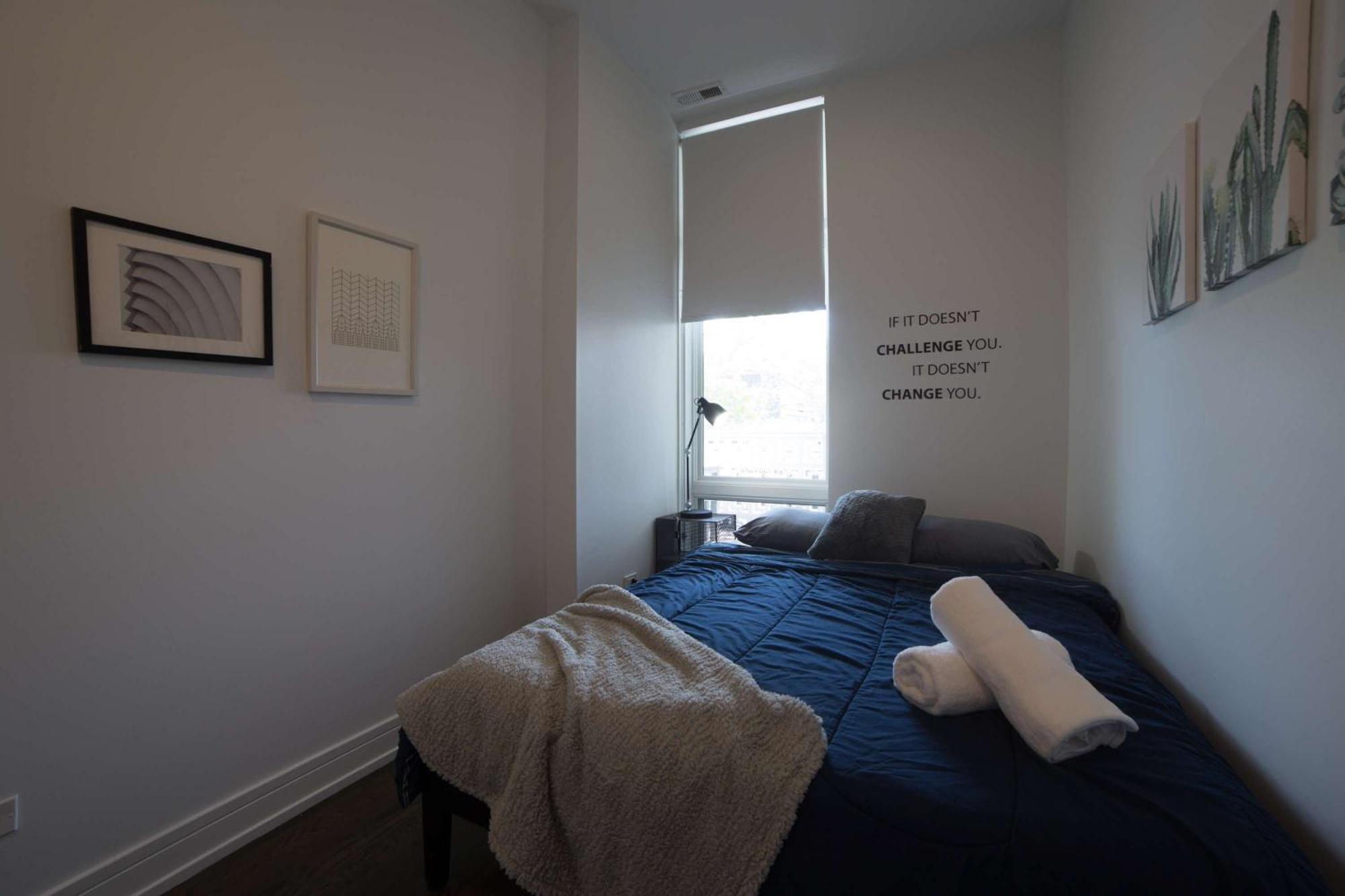 Large 4-bedroom Upscale W Rooftop Chicago