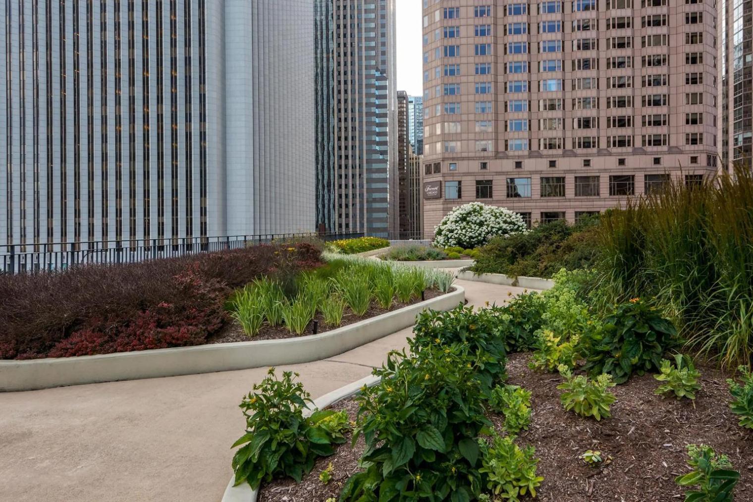 Blueground Lakeshore East Pool Wd Nr Park Chi-1198 Apartment